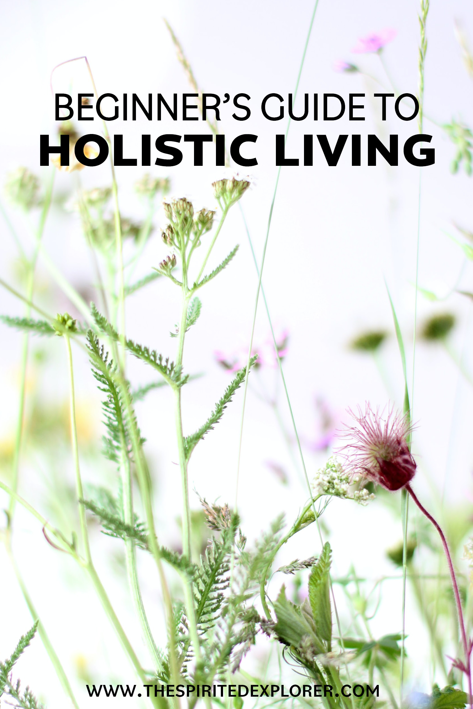 How To Begin Living A Holistic Lifestyle • The Spirited Explorer