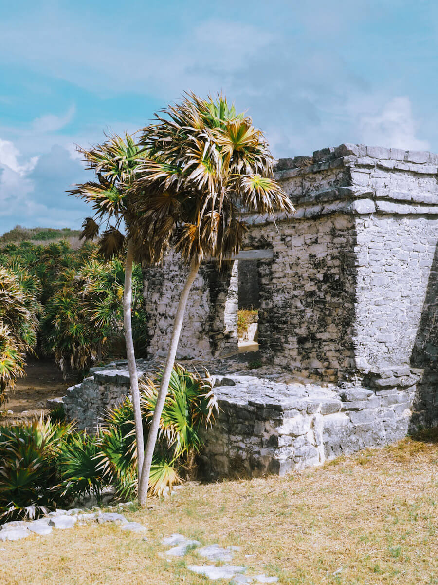 Tour Tulum Ruins: Tickets + What to Know Before You Go