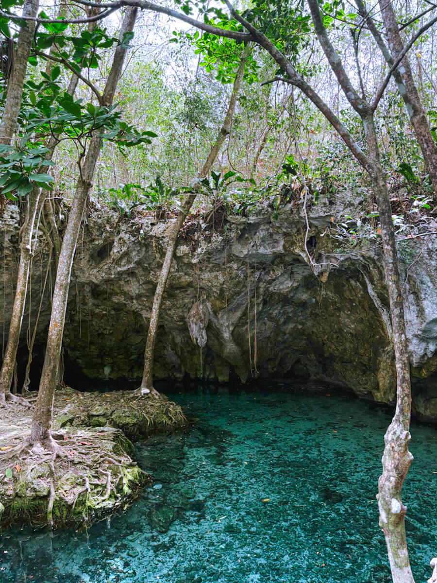 Cenotes Rulum Gran Cenote Tulum: Is It Worth Visiting in the Maya Riviera?